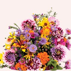 mixed flowers online